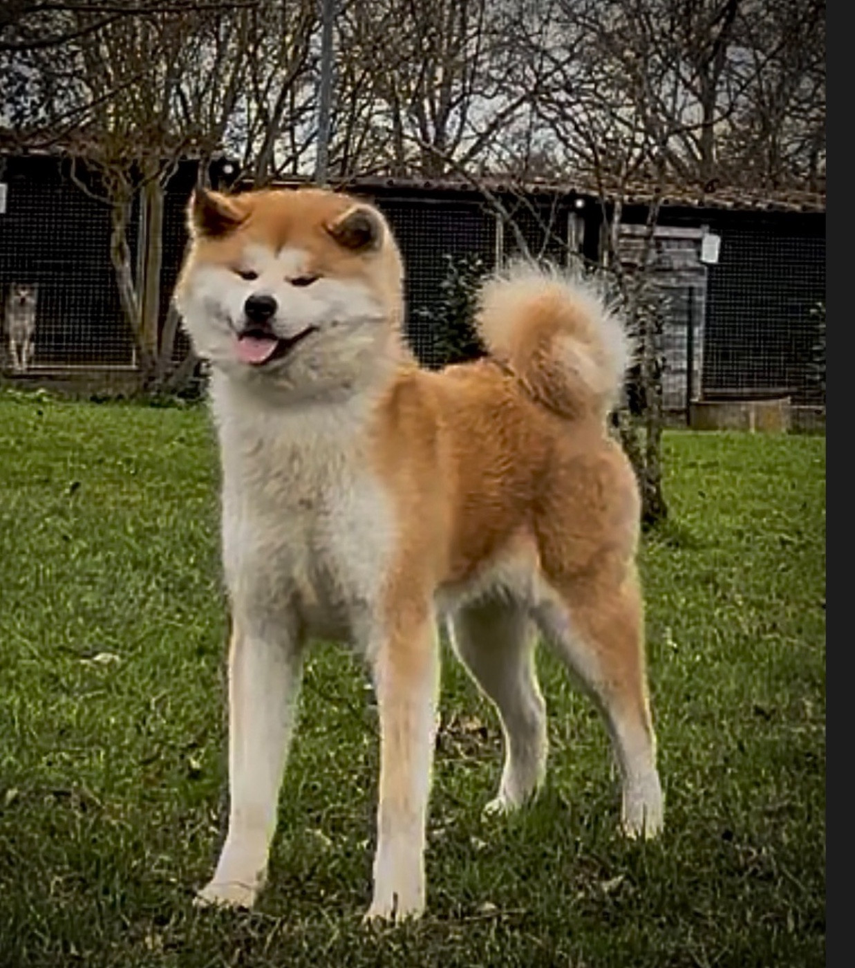 Mei - go saisho no hoshi