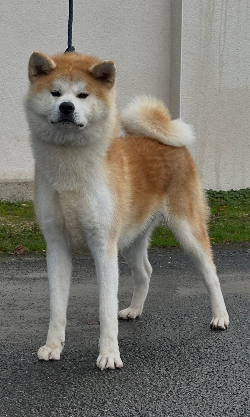 V ´HokusaÏ go du Clos des Chtis