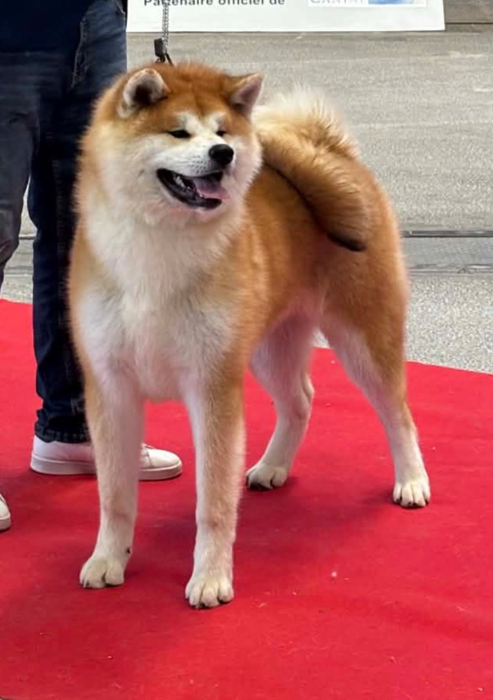 A Hiroshi - go  du Clos des Chtis