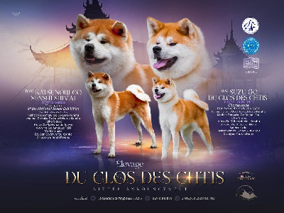 CHIOT